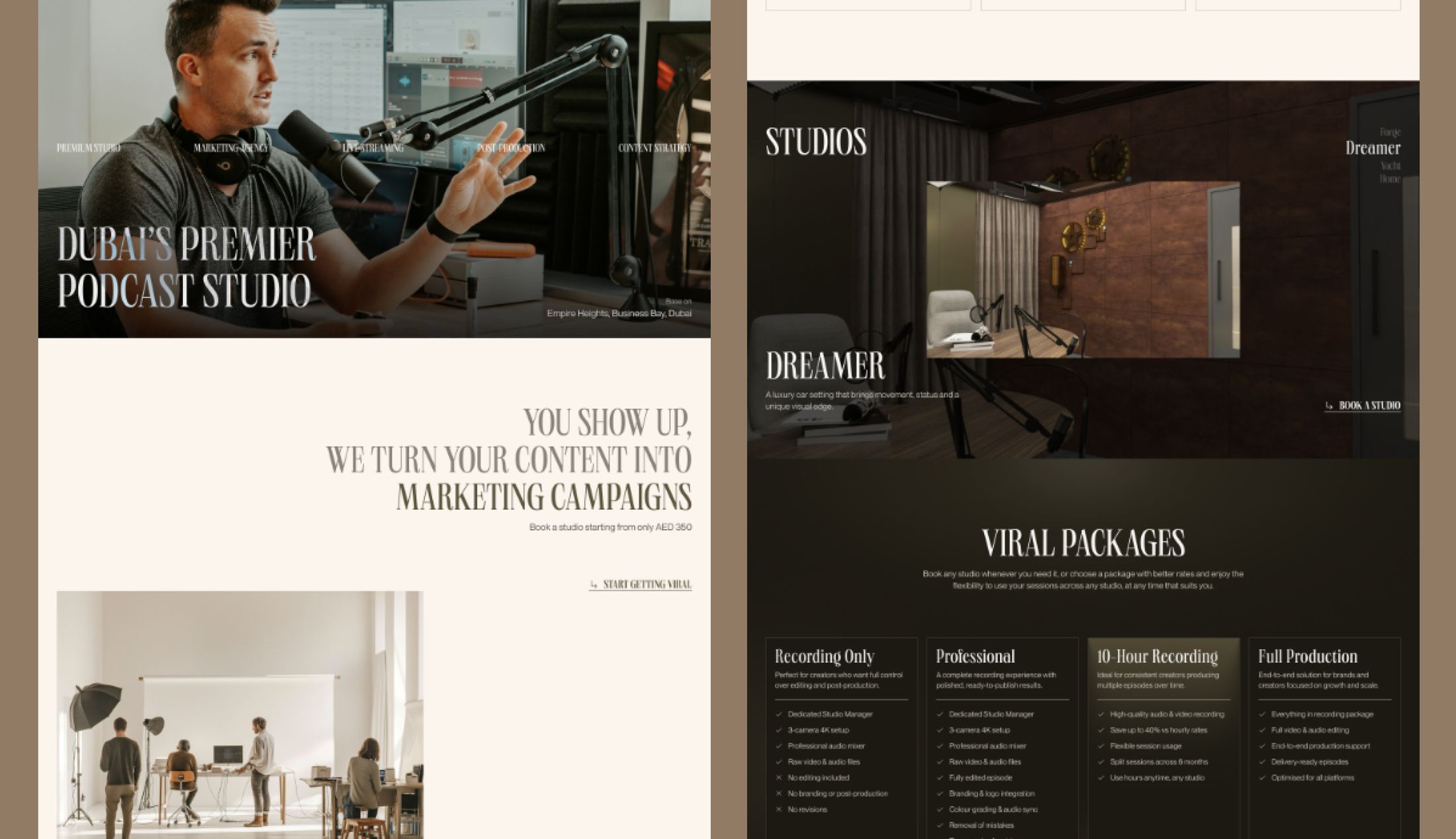 Viral Pod website overview
